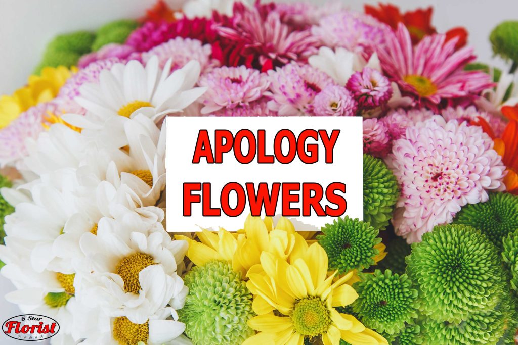 apology flowers Providence